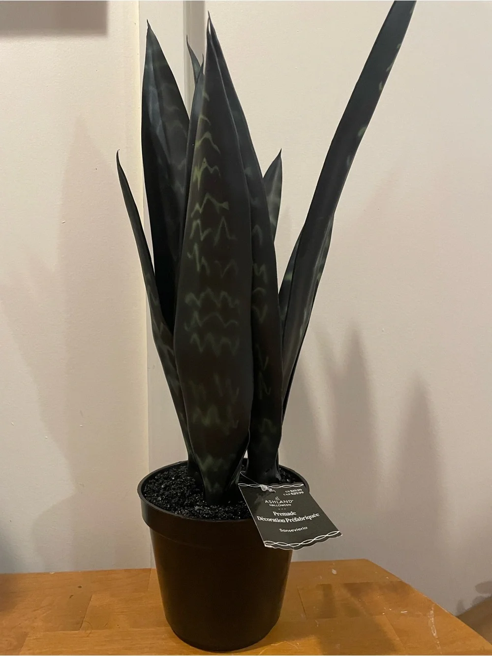 Matte Black Faux Snake Plant with Subtle Green Variegation in black pot